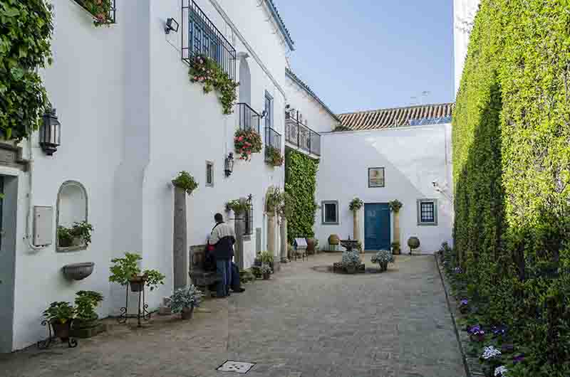Córdoba 262 - palacio de Viana - patio de los Jardineros.jpg